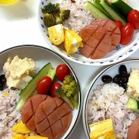 手抜きプレート|さとう かおりさん