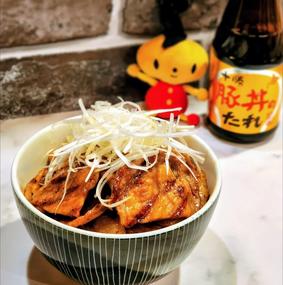 豚丼|ひかるさん