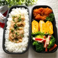 ＊パパのお弁当🍱＊|＊抹茶＊さん