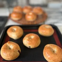 ベーグルがいっぱい🥯| Ｌilicaさん