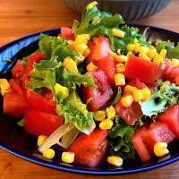 サラダ|おさかなさん