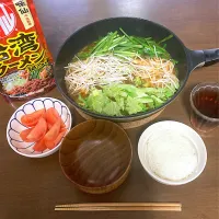 今日の晩ご飯　「味仙 台湾ラーメン 鍋つゆ」を使った牛ホルモン鍋　インフルエンザによる療養２日目　とにかくスタミナつけなきゃってことで作りました。体が芯からあったまり、ドッと汗をかきました　ウィルス撃退できたかな？　ちなみに５日間の療養期間中の食材は昨日、病院からの帰りがけに「ヤマナカ」さんで買い揃えました。|なびさん