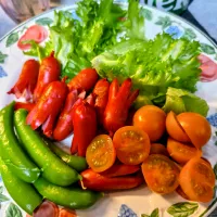 タコちゃんサラダプレート|橘葵さん