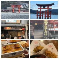 旅行記録①(宮島　厳島神社)|TOMOさん