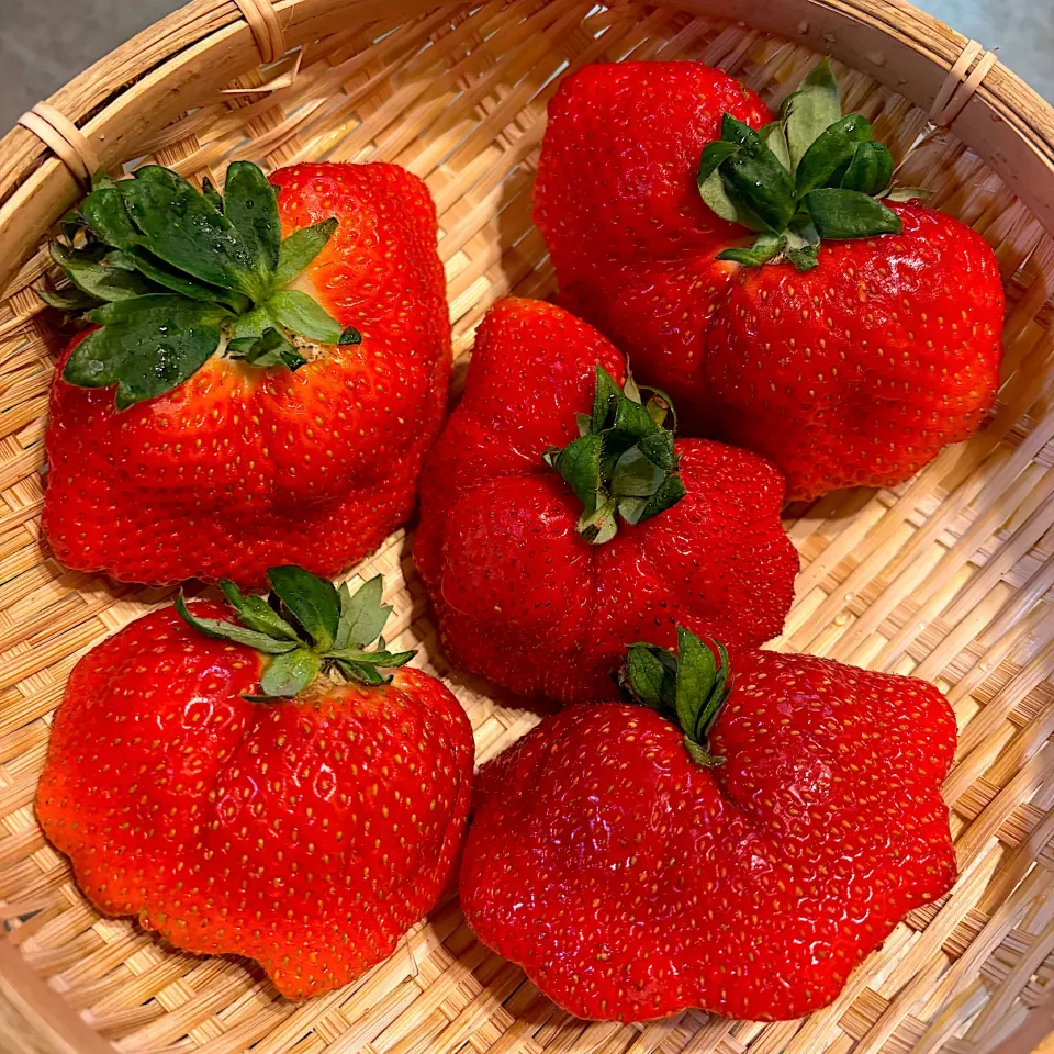 ドデカ苺♡|nao子さん