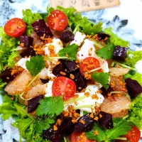 🔷焼きビーツマリネとミルキーな🧀モッツァレラの前菜サラダ🥗🔷| @きなこさん