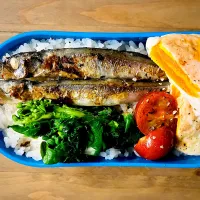 2026/0213(金)弁当|ご飯はん♪さん