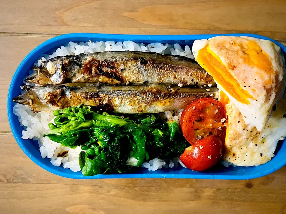 2026/0213(金)弁当|ご飯はん♪さん