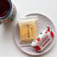 母恵夢|ちゃみこさん