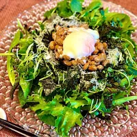 🥗|にゃあ（芸名）さん