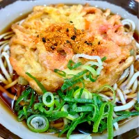 かき揚げそば|ユキちゃんさん