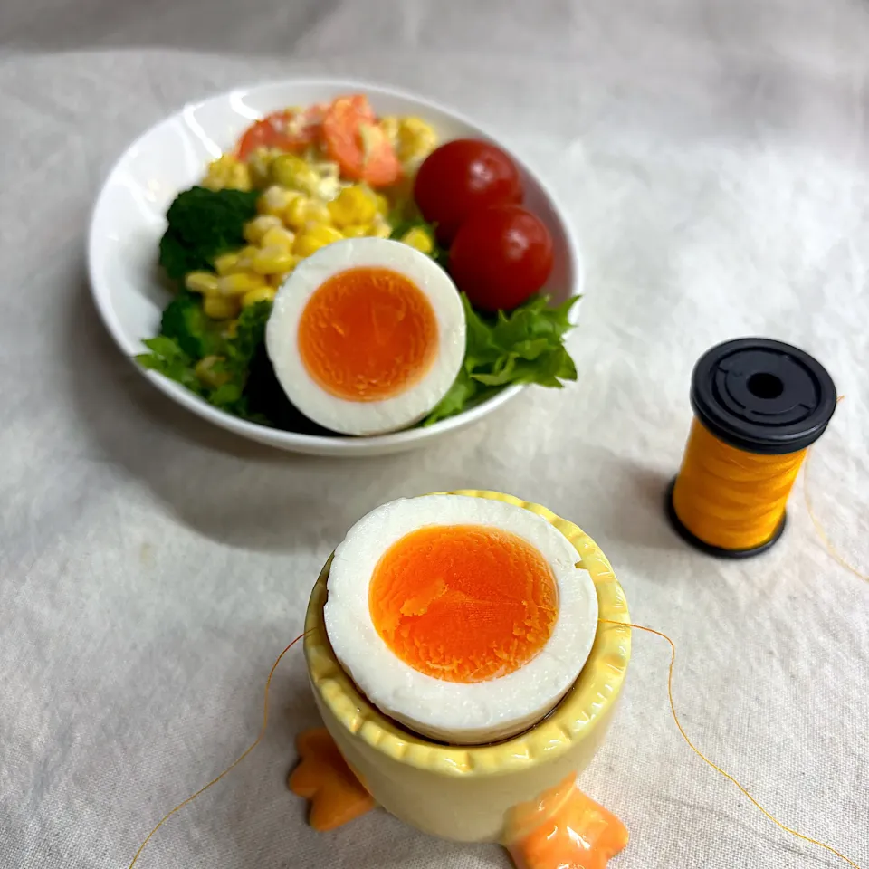 卵はミシン糸|かっちゃん杉さん