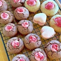 |みーちゃんさん