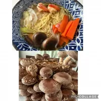 栽培した椎茸を入れて、醤油ラーメンを作ってみました。格別です。美味しくいただきました。| sniper66さん