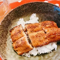 夜2026.2.14|ささなおさん