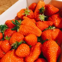 夜②2026.2.14| ささなおさん