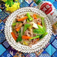 豚肉と春野菜の旨煮丼✨
