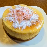 2026バレンタイン　生チョコ風ホワイトチョコチーズケーキ| きょうちゃんさん