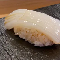 アオリイカ|麻紀子さん