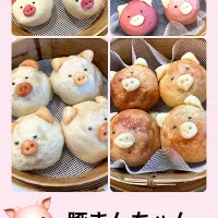 🐷豚まんちゃん🐽