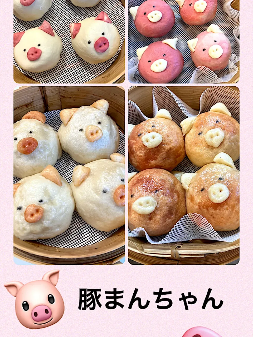 🐷豚まんちゃん🐽|きみちさん