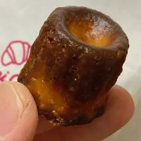 DONQ ミニカヌレ|Kojiさん