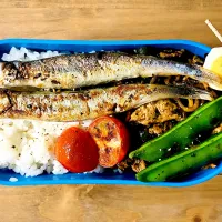 2026/0216(月)弁当