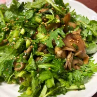 舞茸と春菊の半温野菜サラダ|ネコさん