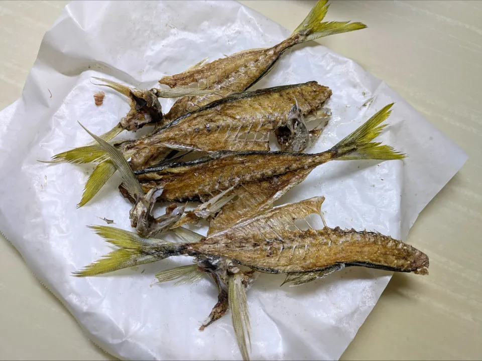 真アジの中骨、カマのレンチン骨せんべい|macoZyさん