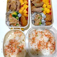 お弁当の日|おしゃべり献立さん