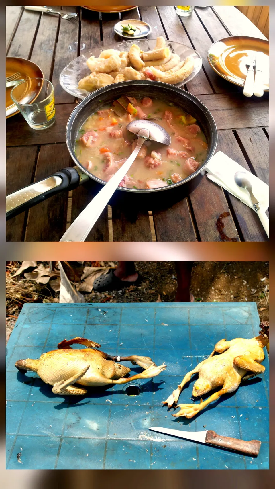 🇫🇷MY TRAVEL IN MARTINIQUE🇫🇷
   (French island in the Caribbean)
 Porc's tail banana planta and yam,ducks|KWAII69さん