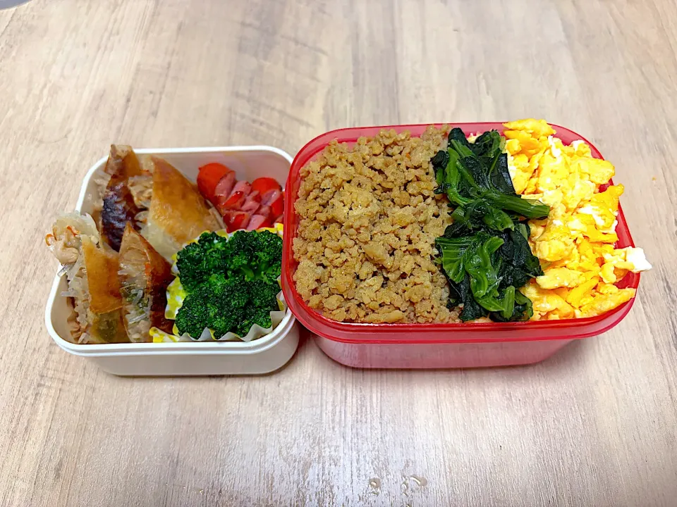 そぼろ丼＆手作り春巻き|はなかっぱさん