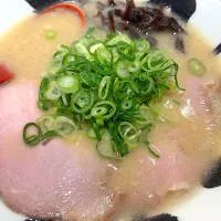 白賀正| saturnさん