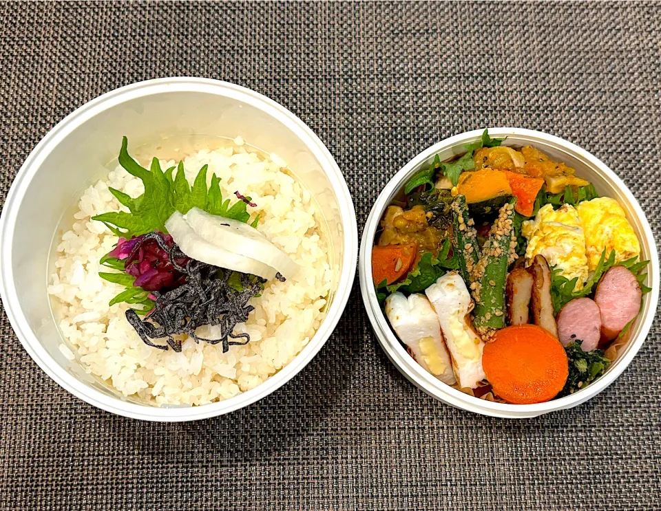 高校生息子のお弁当🍱 鶏肉のトマト煮込み弁当🍱|Snow10さん