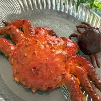 タラバガニ🦀ではなく、スコーンです☕️