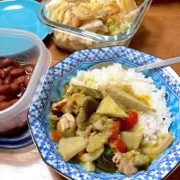 タイグリーンカレー|みんみんさん