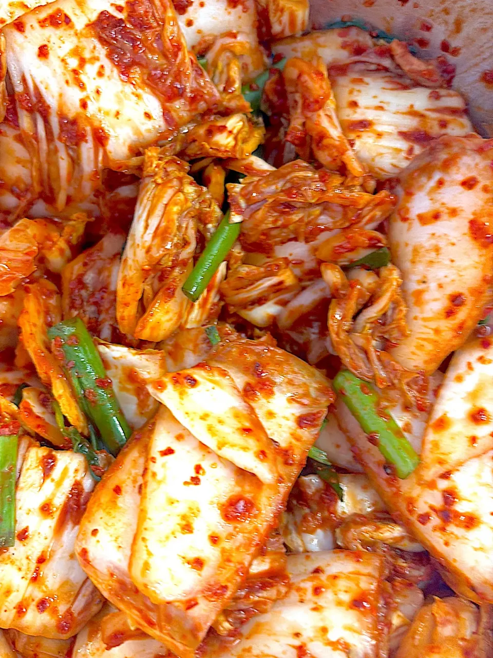 Freshly Made Kimchi|Ana Kaliaさん