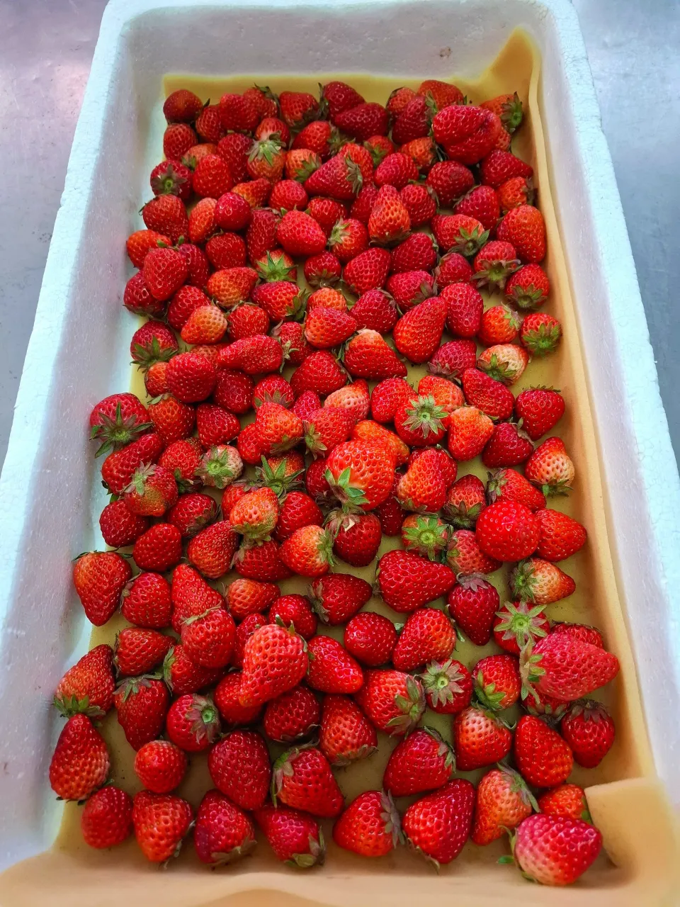 🍓ジャム用いちご🍓|ゆきさんさん