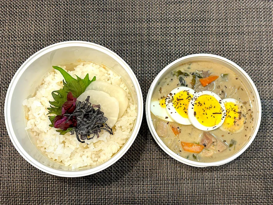 高校生息子のお弁当🍱 グリーンカレー弁当🍱|Snow10さん