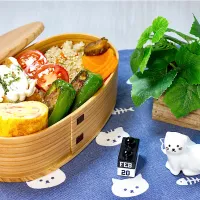 今日のお弁当 26/02/20|しげさん