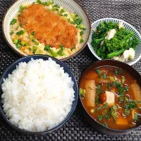 受験に勝つ！カツとじ定食でムスコの置きランチ|からあげビールさん