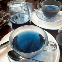 3/7ライトブルー桜2026開催のお知らせ