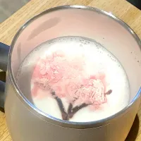 桜咲くよラテ