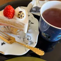 いちご🍓ショートケーキてんとう虫|ゆっきーさん