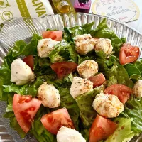 トマトとモッツァレラのサラダ🥗|あやめもちもちさん