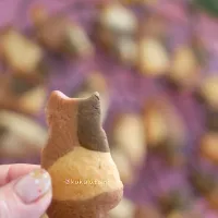 三毛猫クッキー|kukulutomo ❁𓎪 ⡱𓎩‎𐩢𐩺𓎪 ⡱さん