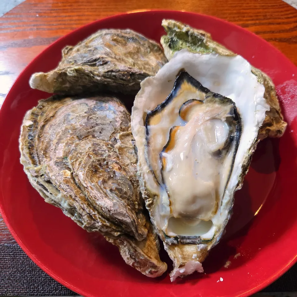 蒸し牡蠣|aoiさん