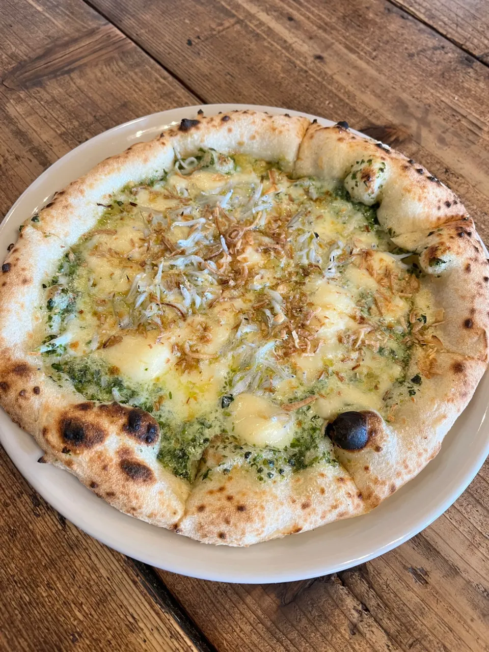 末っ子の誕生日旅行🎂|＊みお＊さん