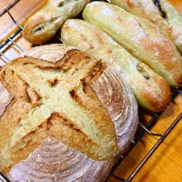 2026/02/23 青汁入りパン・ド・カンパーニュ