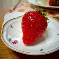 『順子のいちご園』さんのいちご